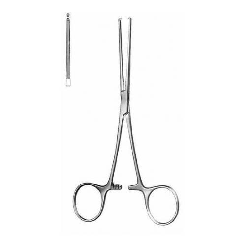 Allen.jpg Allen - Image 1