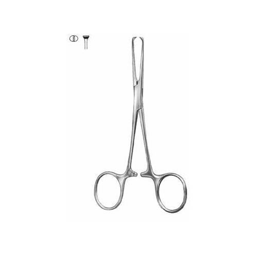 Allis-Baby.jpg Allis-Baby - Image 1