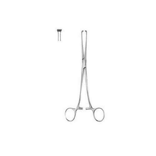 Allis2.jpg Allis - Image 1