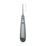 Apical 1