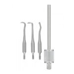C Tips For Morrel Crown