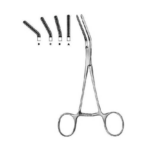 Dardik.jpg Dardik - Image 1