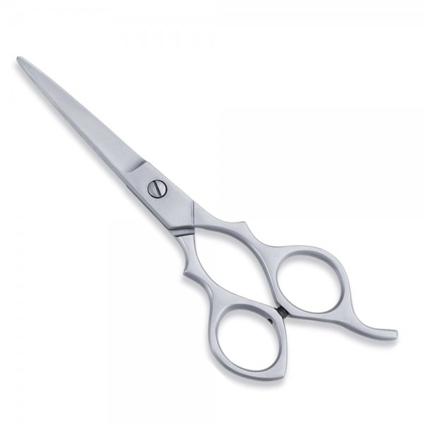 Economy-Scissor11.jpg Hairdressing Shears - Image 1
