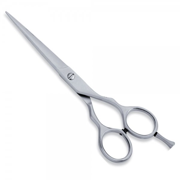 Economy-Scissor4.jpg Hair Cutting Scissors with Finger Rest - Image 1