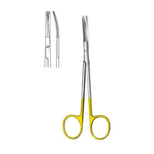 Gregory-1.jpg Gregory - Image 1