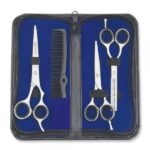 Japanese Steel Shears