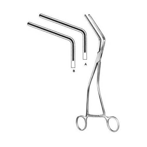 Hayes.jpg Hayes - Image 1