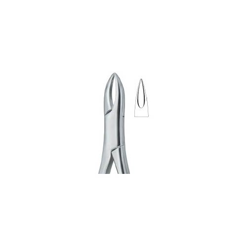 Henahan-Insicor1A.jpg Henahan Incisors 1A - Image 1