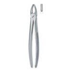 Incisors And Bicuspids 1