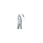 Incisors And Bicuspipds 35N