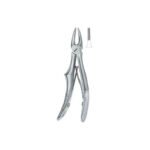 Incisors And Cuspidss 137