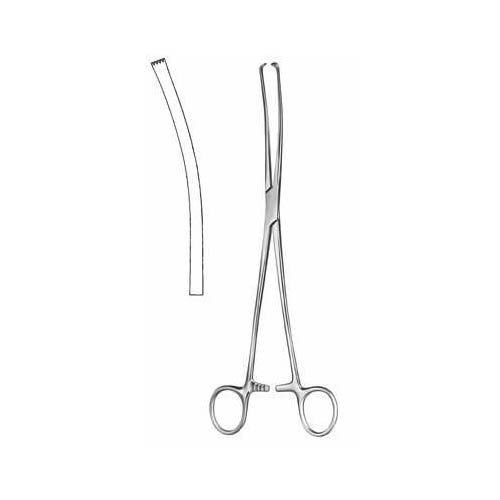 Iowa.jpg Iowa - Image 1