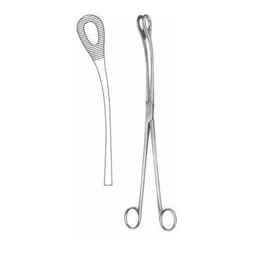 Kelly.jpg Kelly - Image 1