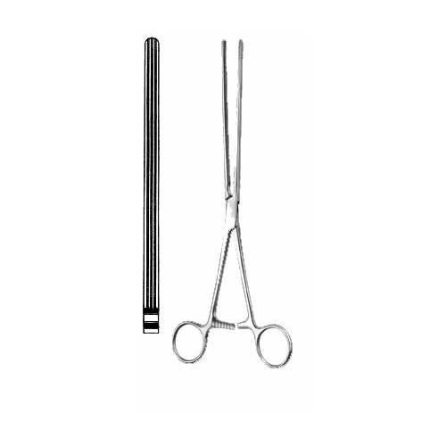 Mayo-Robson2.jpg Mayo-Robson - Image 1