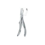 Molars 3