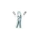 Molars,Left 18