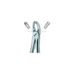 Molars Right 17