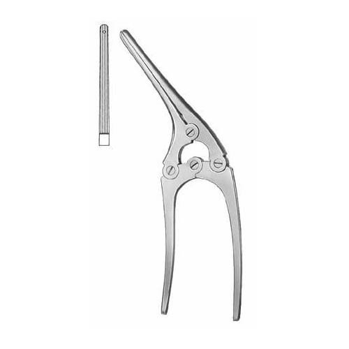 Payr-Baby.jpg Payr-Baby - Image 1