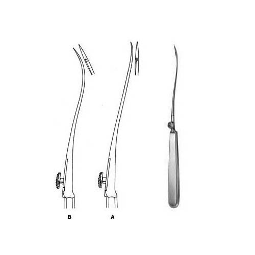 Reverdin3.jpg Reverdin - Image 1