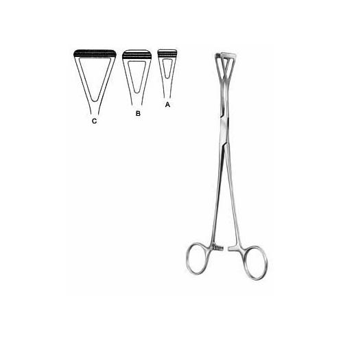 Scheibe.jpg Scheibe - Image 1