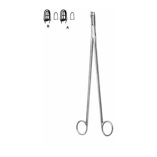 Schubert.jpg Schubert - Image 1