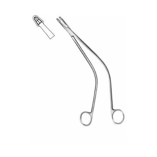 Schubert1.jpg Schubert - Image 1