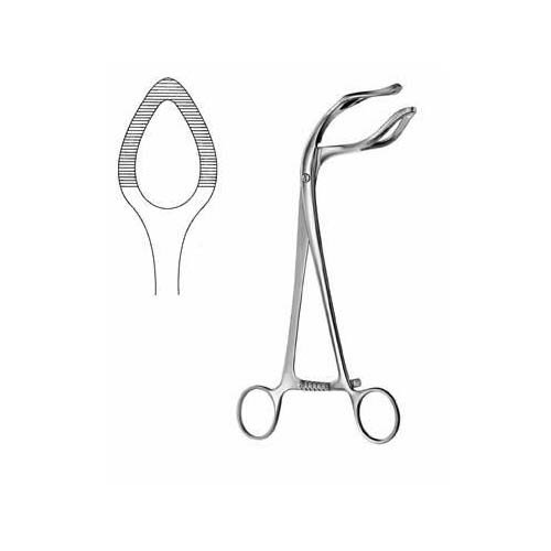 Somer.jpg Somer - Image 1