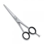 6.5 Inch Stainless Steel Shears