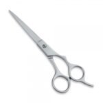 Compact Styling Shears