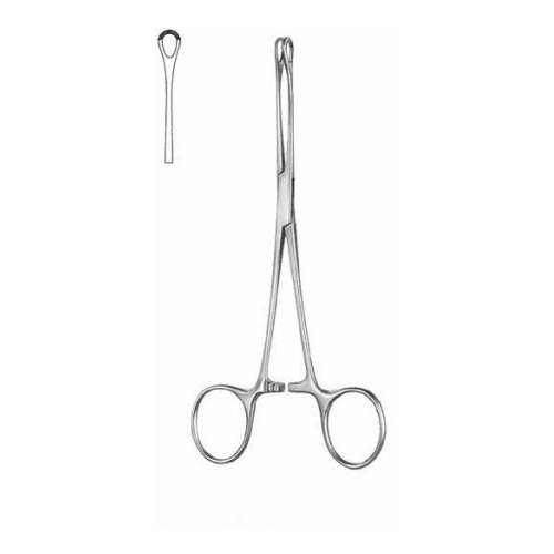 Williams.jpg Williams - Image 1