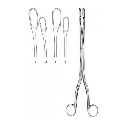 Winter.jpg Winter - Image 1